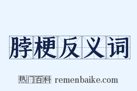 脖梗反义词是什么意思的图片